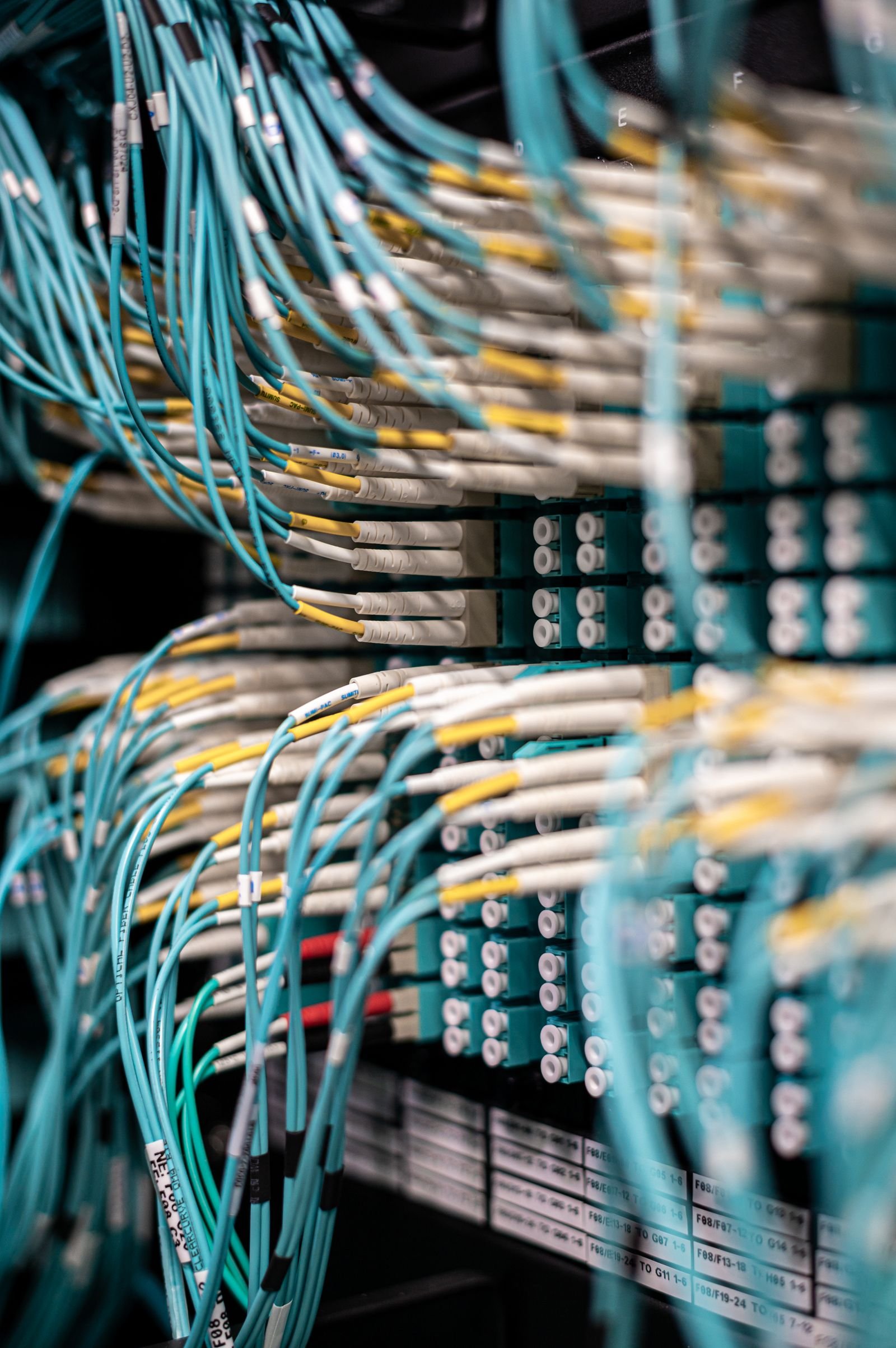 Network cables plugged into a server patch panel in a data center.