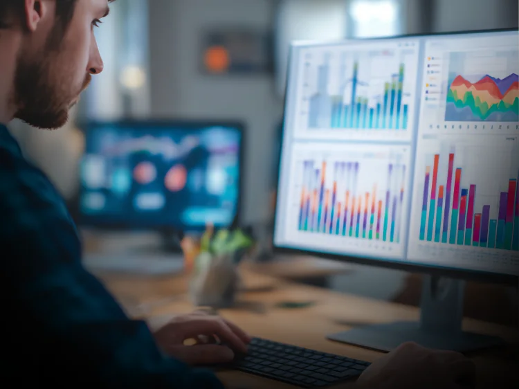 Project Performance Tracking